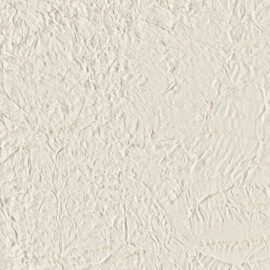 251S-01-01