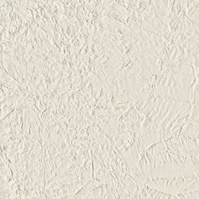 251S-01-01