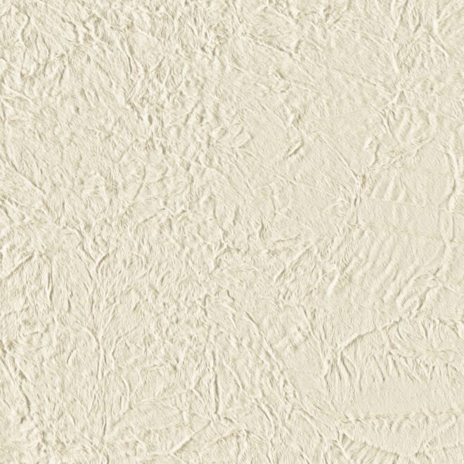 251S-01-02