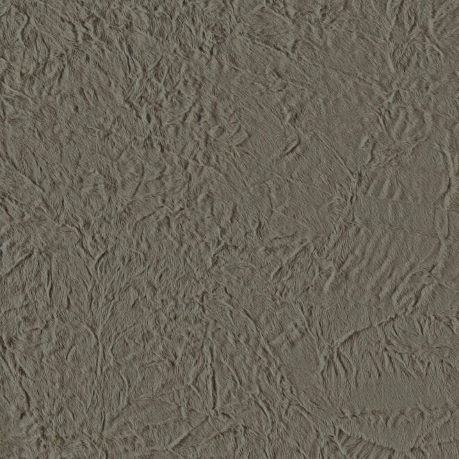 251S-01-03