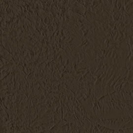 251S-01-04