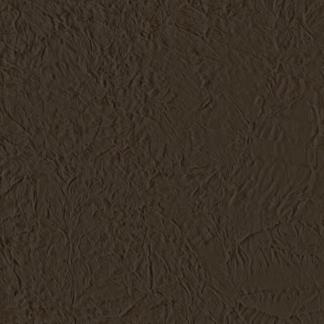 251S-01-04