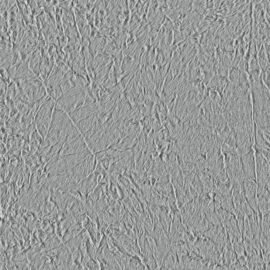 251S-01-05