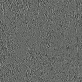 251S-01-06