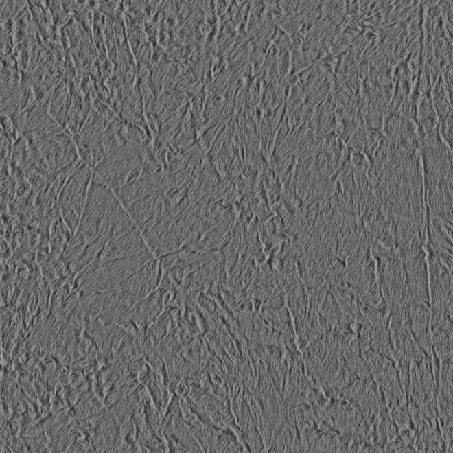 251S-01-06