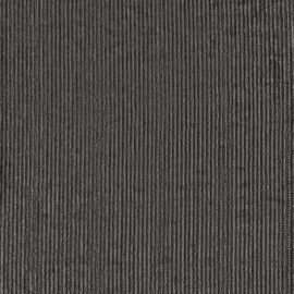 251S-02-06