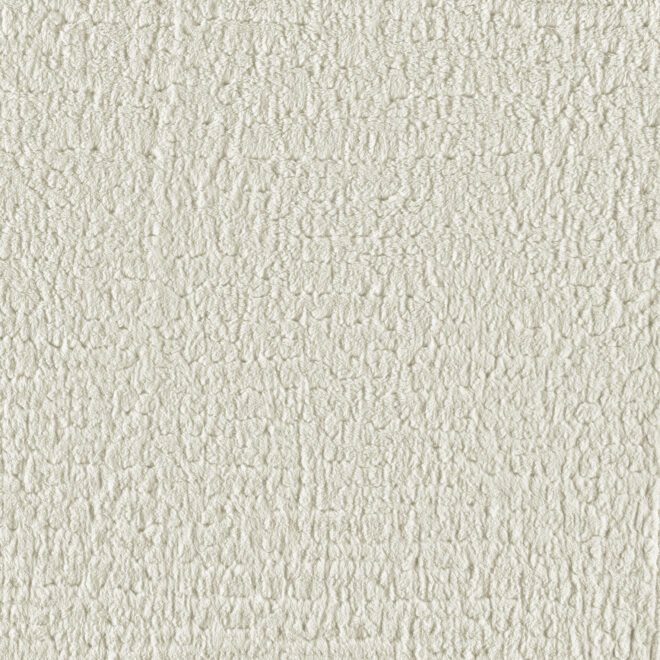 251S-03-01