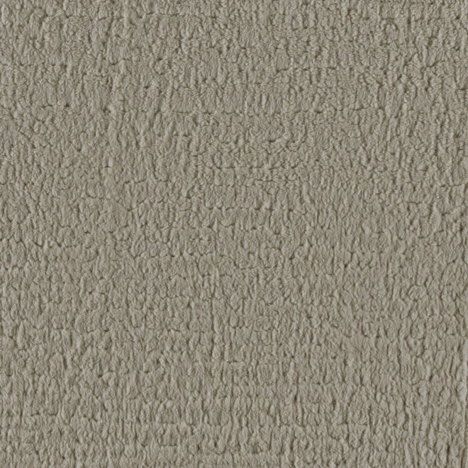 251S-03-02