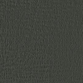 251S-03-06